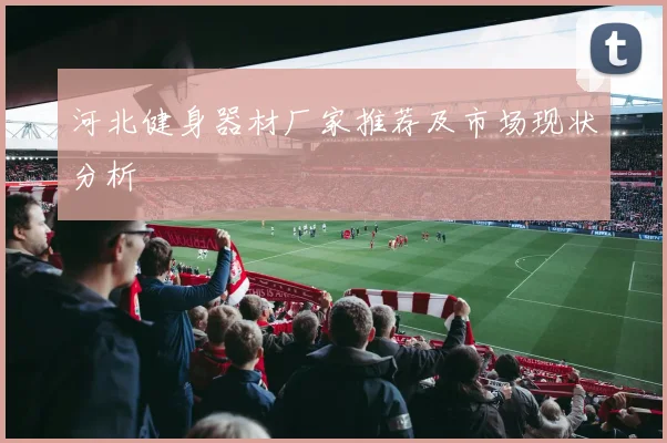 河北健身器材厂家推荐及市场现状分析