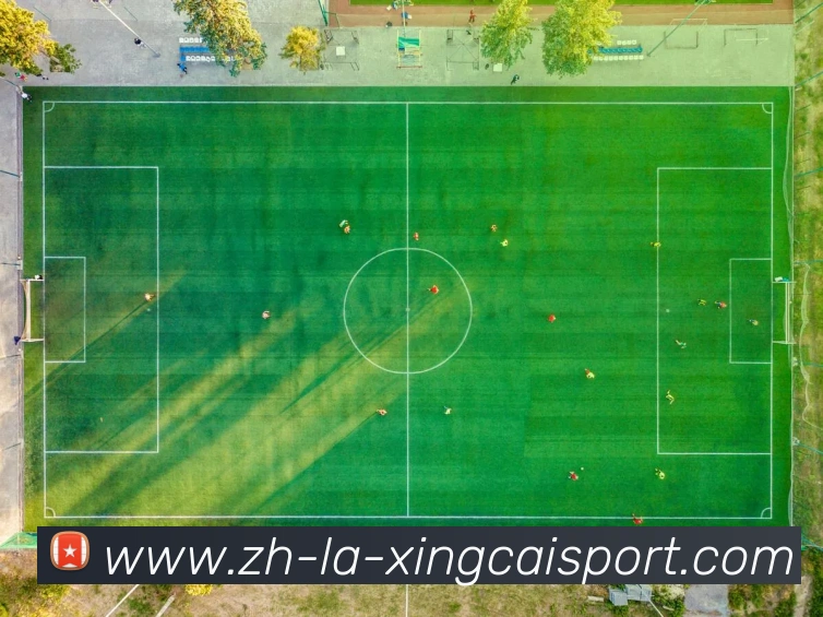 杏彩体育平台生态图