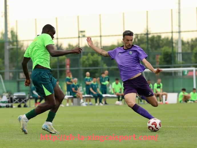 杏彩体育-2025世俱杯球员跑动效率统计及体能分配优化策略